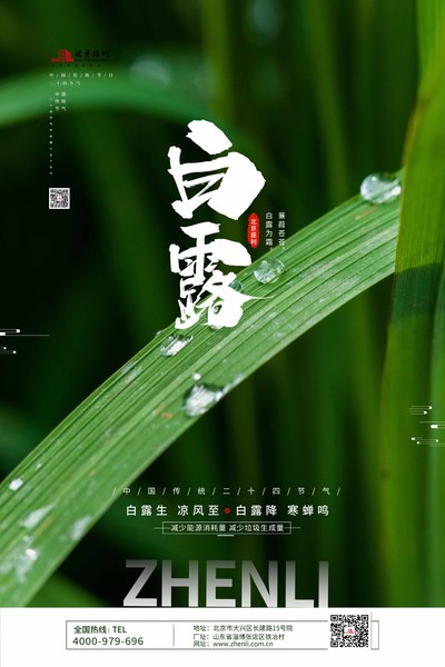 白露节气1-网站.jpg